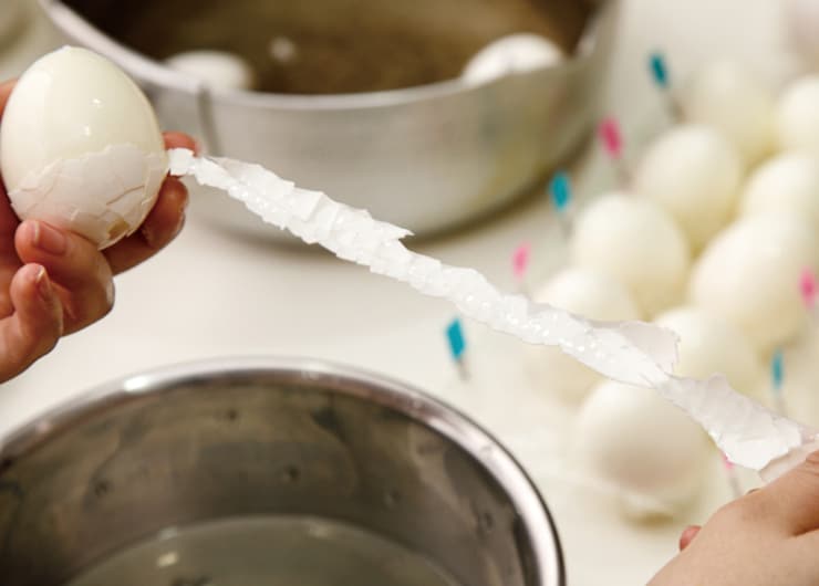 スルッと気持ちいい！ ゆでたまごの失敗しない剥き方はコレです