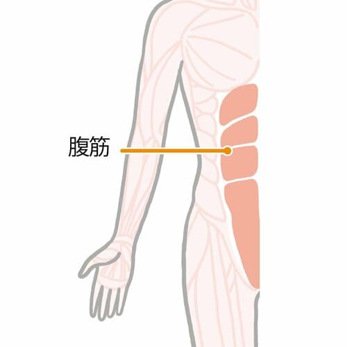 →眠っているお腹の筋肉を伸縮させましょう! ズボラストレッチおすすめ イメージ