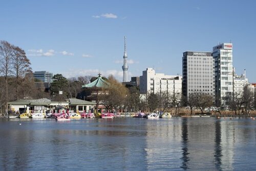 風景撮影で遠景の解像力をチェック!
