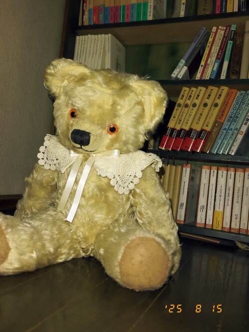 フラッシュも搭載！ エモい写真が撮れる？ 富士フイルム X halfおすすめ イメージ