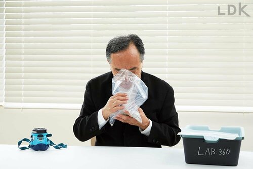 臭わない&飛び散らない! 猫砂おすすめ イメージ2