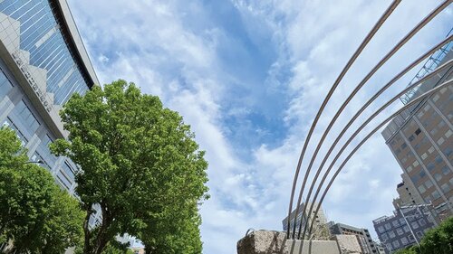 全部同じ動画から抜き出しました! Insta360「Insta360 X4」おすすめ イメージ4