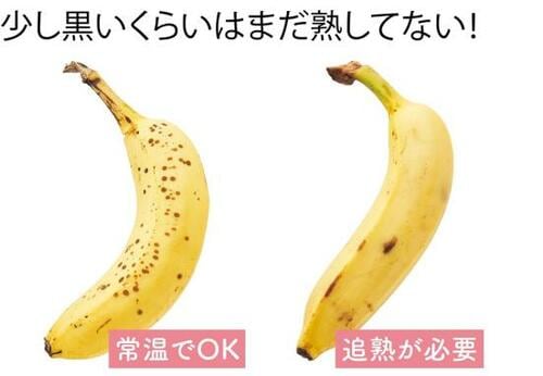 旬を逃さない今すぐできる簡単保存テク イメージ10