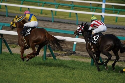 α7 Ⅲはスポーツも十分撮れる動体追尾性能があります！ イメージ5