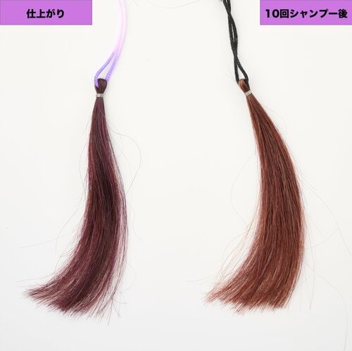 トリートメント感覚で使える パープル（紫）のヘアカラーおすすめ イメージ