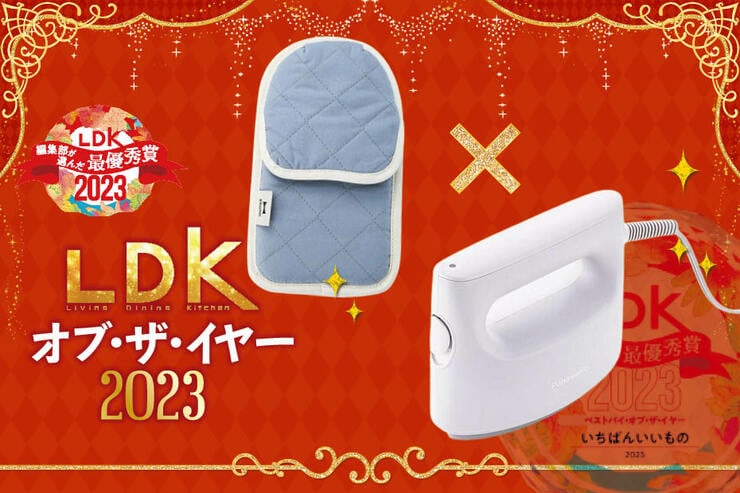 LDKオブザイヤースチーマー