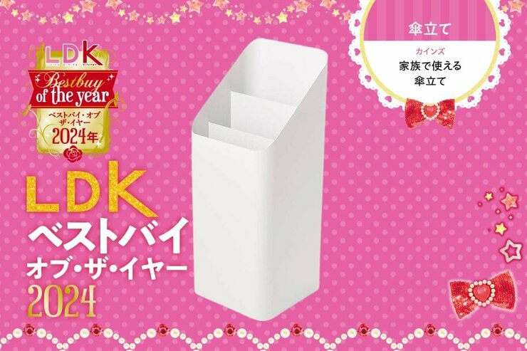 折りたたみ傘も埋もれない！ カインズの“斜めカット”傘立てで玄関がスッキリした話【LDKベストバイ】