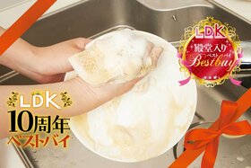 【LDK殿堂入り】この食器用洗剤、油まみれでも泡キープ！ 継ぎ足しなしで洗える最強の1本は？