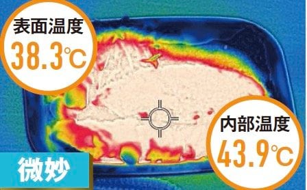 【テスト:お弁当をどれだけ冷やせるか】 冷蔵庫おすすめ イメージ3