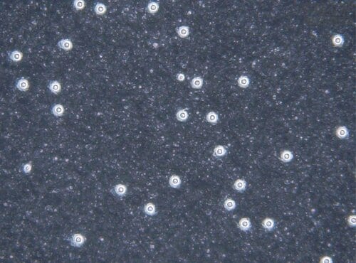 ＜表面拡大(倍率：160倍)＞ ペーパーライクフィルムiPad用保護フィルムおすすめ イメージ