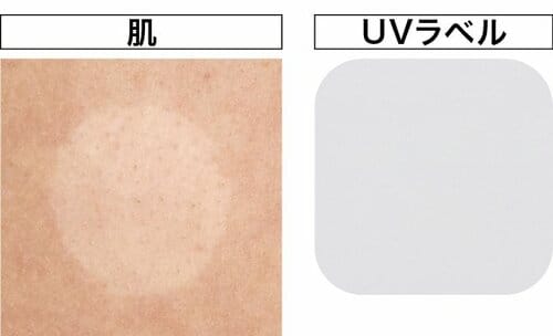 日サロの強烈な紫外線からも肌を守った イメージ