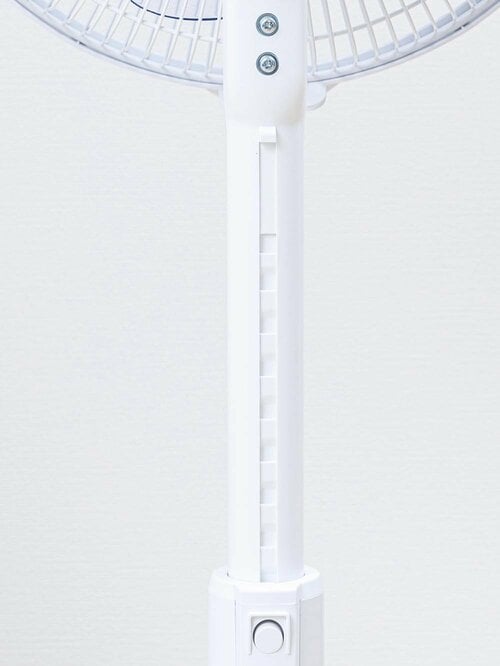 エディオン「e angle DCモーター搭載 リビング扇風機 ANGV-FAD30-B」：10段階 扇風機おすすめ イメージ