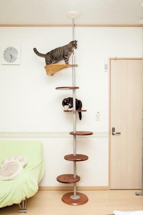 ボンビアルコン:キャットポール:ペット用品