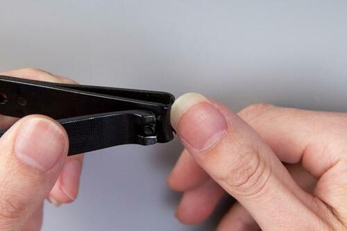 正しい爪の切り方(1):指先のカーブに沿って5~6回で切る