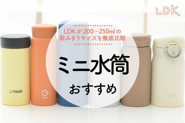 ミニ水筒のおすすめ6選。LDKが200〜250mlの飲みきりサイズを比較！
