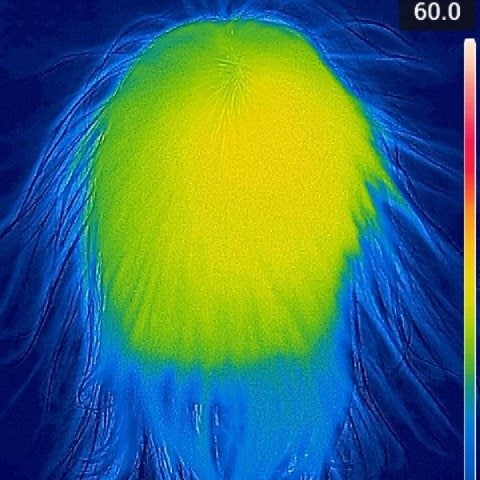 低温の風なのに速乾! 2万円以下で買えるドライヤーおすすめ イメージ