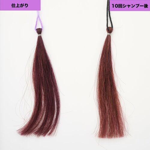 見たままのはっきりした発色 パープル（紫）のヘアカラーおすすめ イメージ