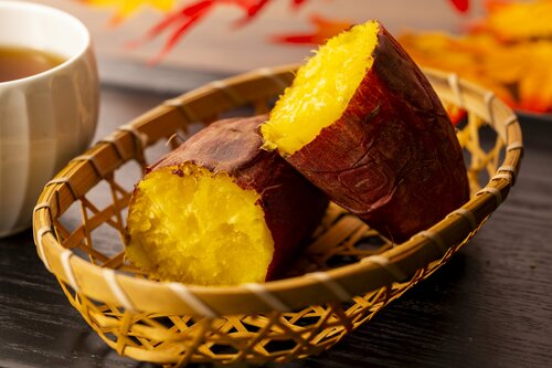 ドウシシャ「焼き芋メーカー Bake Free」の検証まとめ 焼き芋メーカーおすすめ イメージ