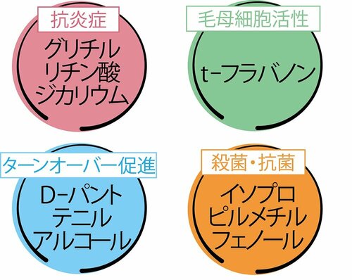 4種の有効成分が健康な頭皮へ導く! イメージ