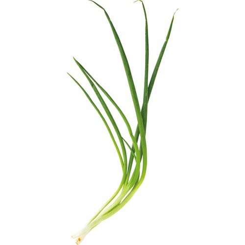 「わけぎ」と「あさつき」似てるけどねぎとは違うの？ イメージ