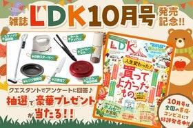 雑誌『LDK』読者プレゼント応募ページ　アンケートに答えて豪華プレゼントをゲット♡