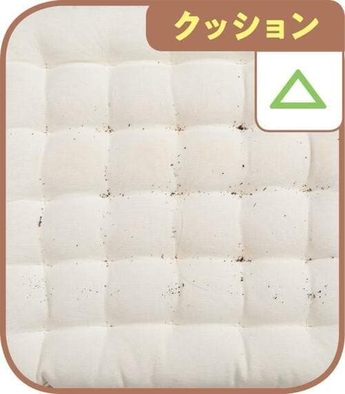 【B評価】布団以外でも検討したレイコップ イメージ3