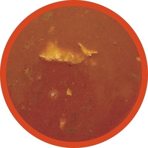 レトルトカレーおすすめ 36チャンバーズ・ オブ・スパイス 般゚若 チキンカレー イメージ2