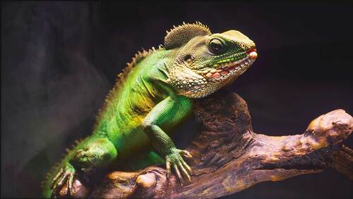 レグザ(Z875R) 家電ベストバイ オブザイヤーおすすめ イメージ