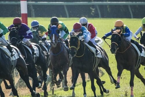 連写性能は50万円の高級カメラ並み！？ イメージ2