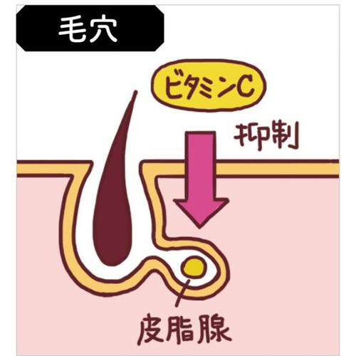 メリット2:毛穴やハリにも効果が期待できる