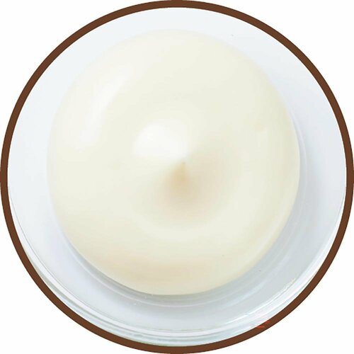 【C評価】丸和油脂「なんにでもかけたくなる出汁マヨ」 イメージ2