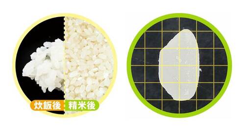 白米：◎＋ 精米器おすすめ イメージ