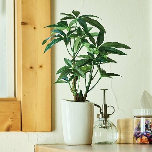 ニトリの便利グッズおすすめ ニトリ フェイクグリーン (パキラ M F355-PU375/82NT) イメージ