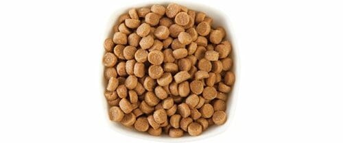 12位: 【49点】アボカド配合で高タンパクと品質は良いのに嗜好性は低い イメージ2