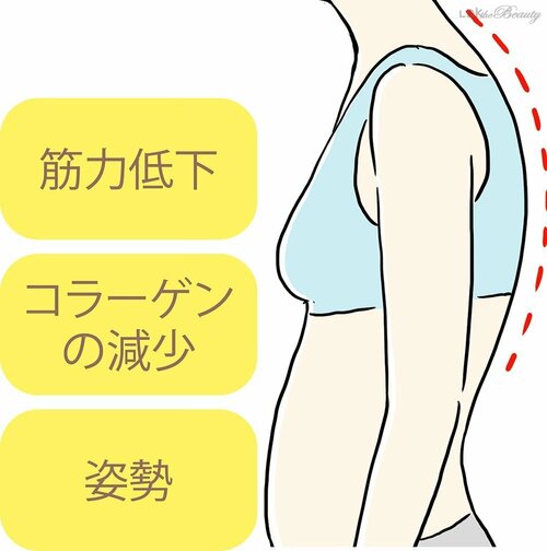キホン1:筋力の衰えや姿勢の悪さ! 垂れの要因はさまざま バストケアおすすめ イメージ