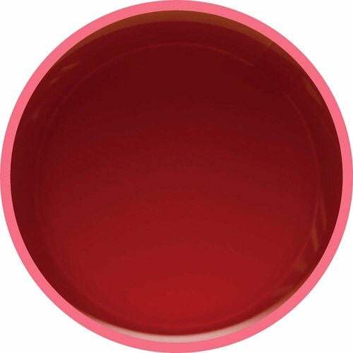 ルイボスティーおすすめ セブンプレミアム ルイボスティー イメージ2