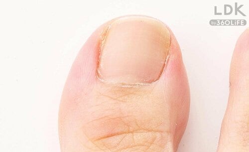 完成 爪切りおすすめ イメージ