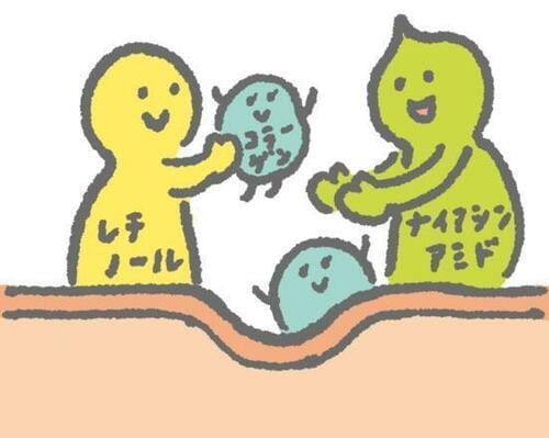 有効成分とは? アイクリームおすすめ イメージ2