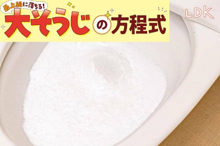 トイレの黄ばみリング、なんで消えないの？ 流すだけで真っ白になるアイテムを紹介【LDK大掃除】