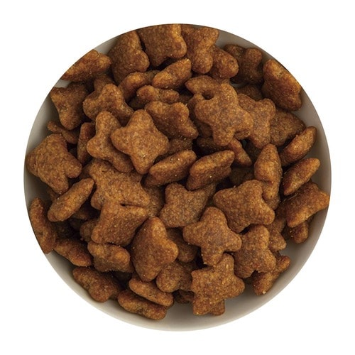 ドッグフードおすすめ ロイヤルカナン ロイヤルカナン ミニ アダルト イメージ2