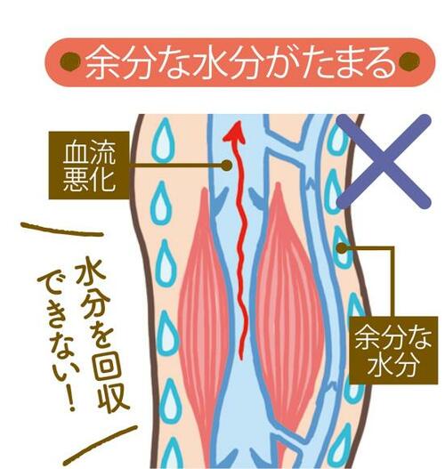着圧ソックスで血流アップが期待できる理由