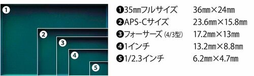 今回はフルサイズとAPS-Cモデルを解説 軽量カメラおすすめ イメージ