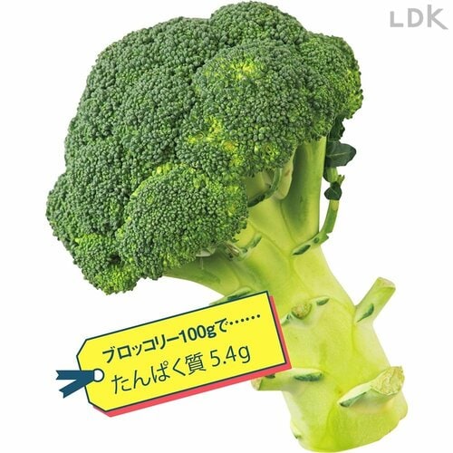 A.ブロッコリー。100gに5g以上もたんぱく質が含まれる貴重な野菜! イメージ