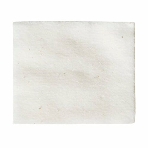 コットンおすすめ EVERYSKIN スムースコットン(オーガニック) イメージ2