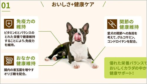 腸や関節、皮膚の健康に配慮している ドッグフードおすすめ イメージ
