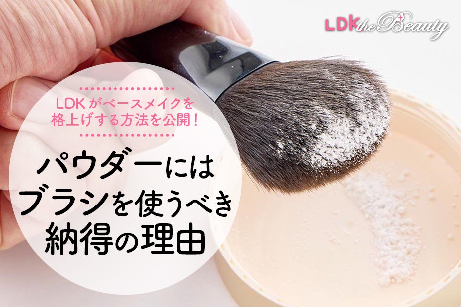 清浄用化粧品51袋・パウダー（洗顔料）10袋・化粧筆（フェイスブラシ）4本