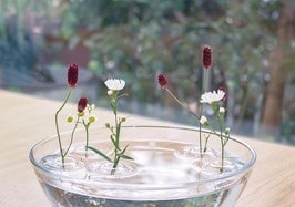 【ギフト】この花器、どこで買ったの？ 一輪挿しで秋の草花が映えました。LDKが紹介