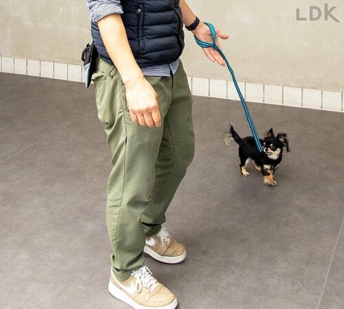 Sサイズなのに大型犬に適した重さと太さ 犬用リードおすすめ イメージ