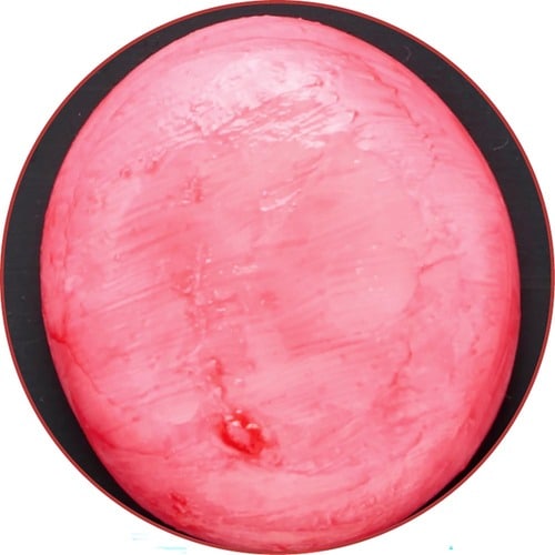 保湿力：◎＋ 色つきリップクリームおすすめ イメージ