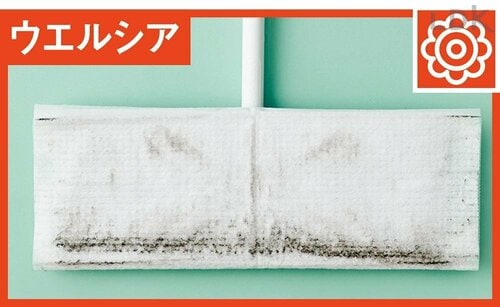 湿ったまま広範囲を掃除できる イメージ